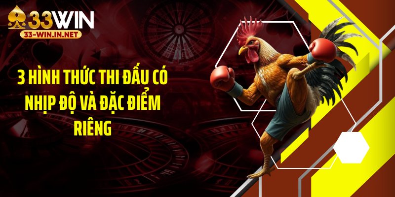 3 hình thức thi đấu có nhịp độ và đặc điểm riêng