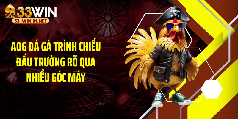 AOG đá gà trình chiếu đấu trường rõ qua nhiều góc máy