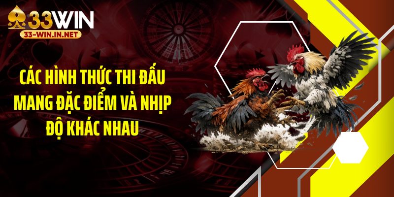 Nhận diện đúng cửa cược giúp người mới hạn chế nhầm lựa chọn