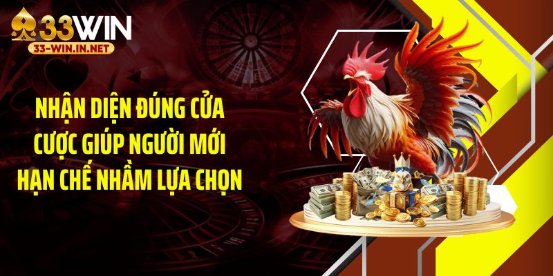 Nhận diện đúng cửa cược giúp người mới hạn chế nhầm lựa chọn