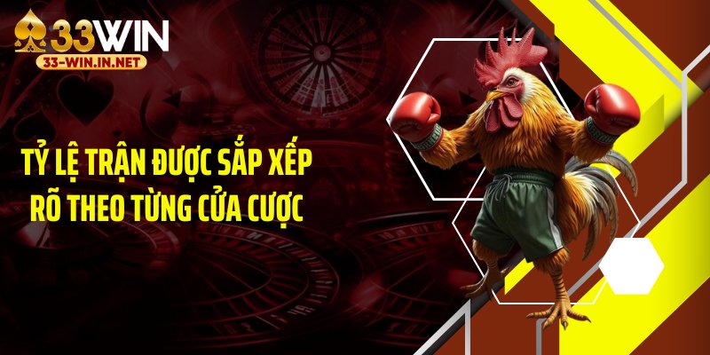Tỷ lệ trận được sắp xếp rõ theo từng cửa cược