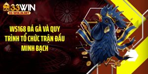 WS168 Đá Gà Và Quy Trình Tổ Chức Trận Đấu Minh Bạch