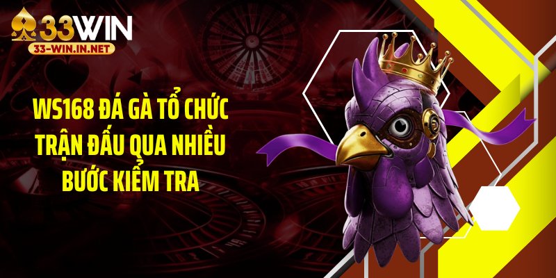 WS168 đá gà tổ chức trận đấu qua nhiều bước kiểm tra